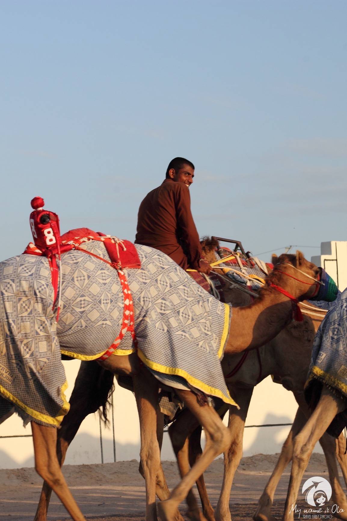 Camel races, Dubai, UAE