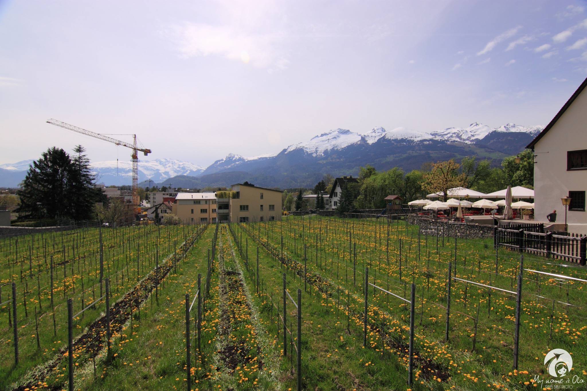 Vaduz winery, Liechtenstein