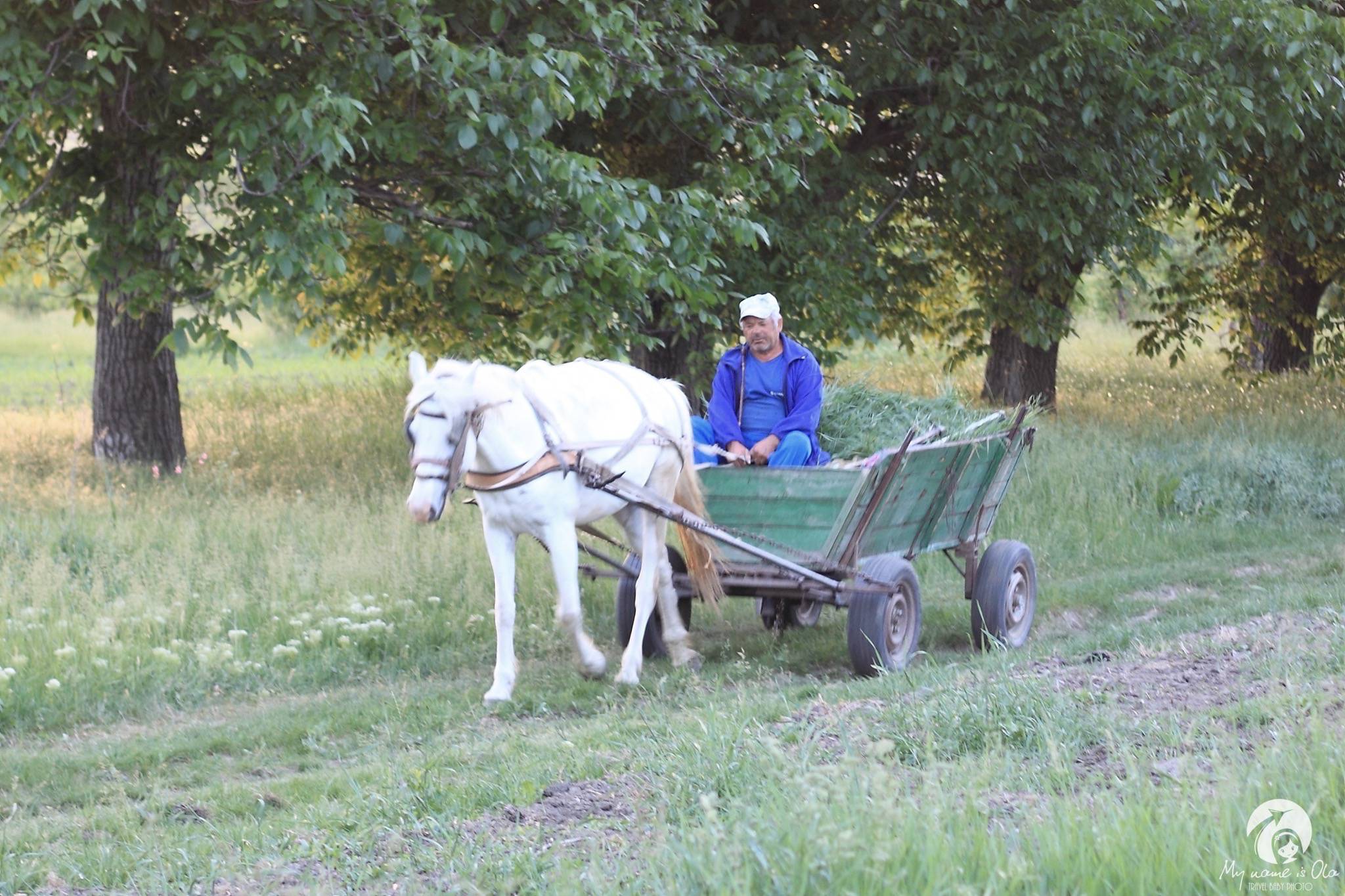 Transport in Moldova