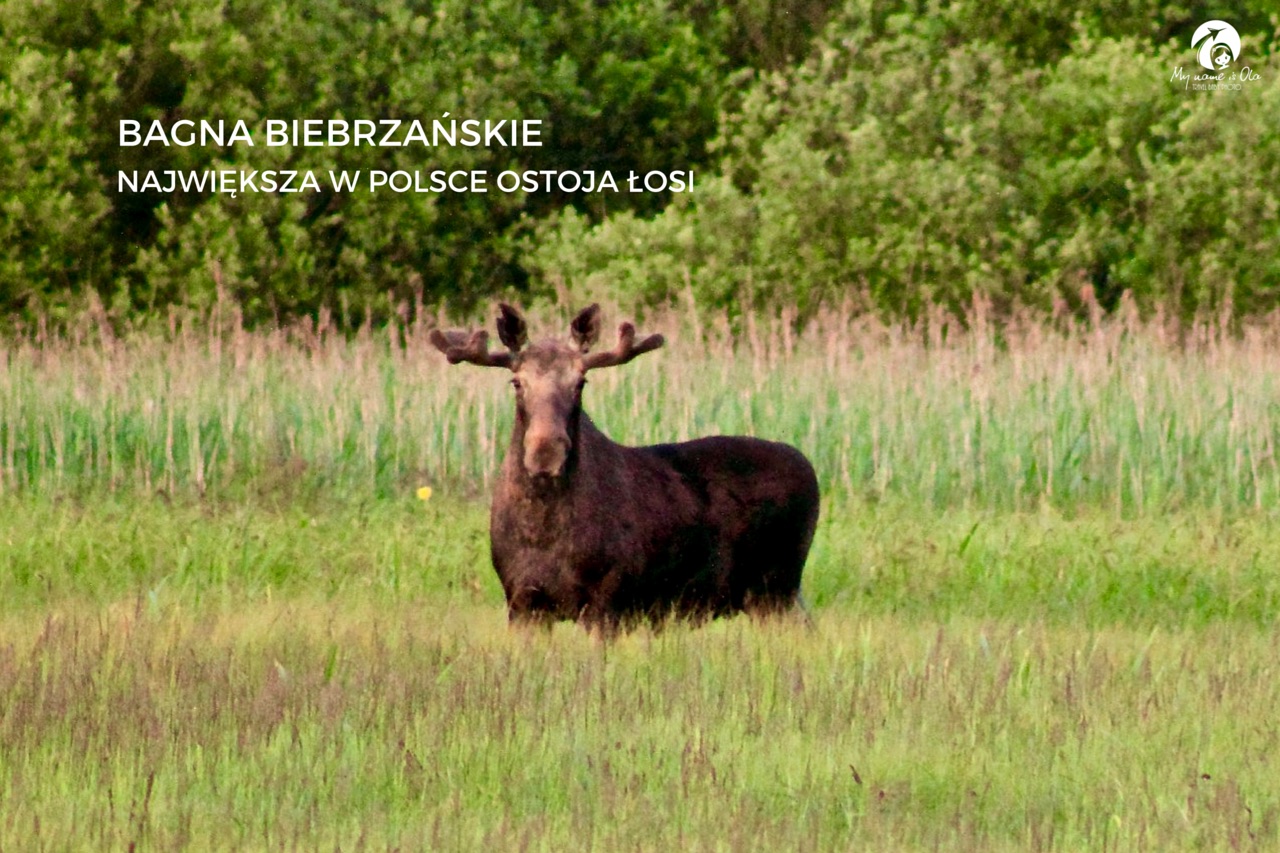 NAJPIĘKNIEJSZE MIEJSCA PODLASIA
