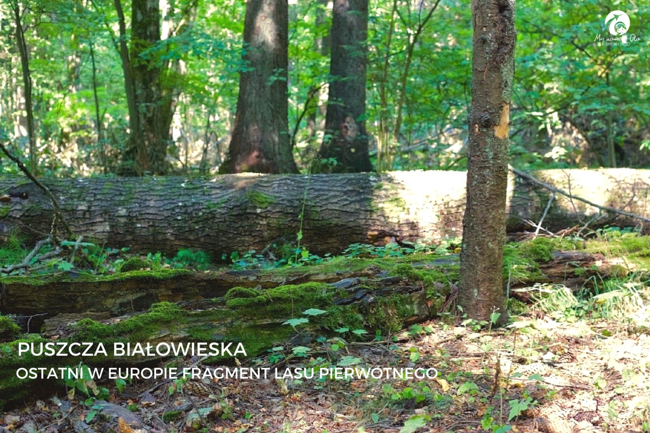 NAJPIĘKNIEJSZE MIEJSCA PODLASIA